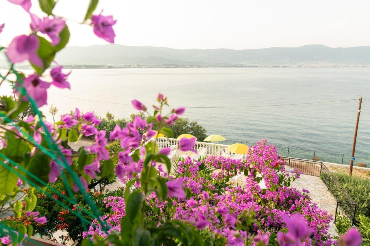 Villa Fjaba - By The Sea - With The Big Terraces & Great Sea View Trogir Kültér fotó